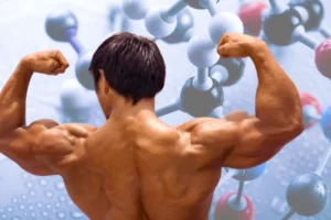 Best peptides for fat loss and muscle growth